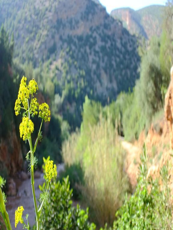 Riad Cascades D'אוזוד מראה חיצוני תמונה