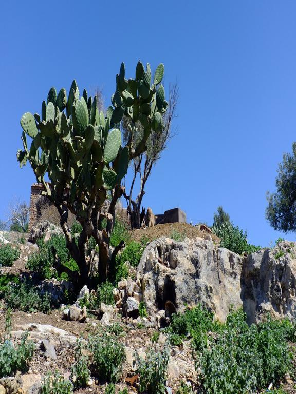 Riad Cascades D'אוזוד מראה חיצוני תמונה