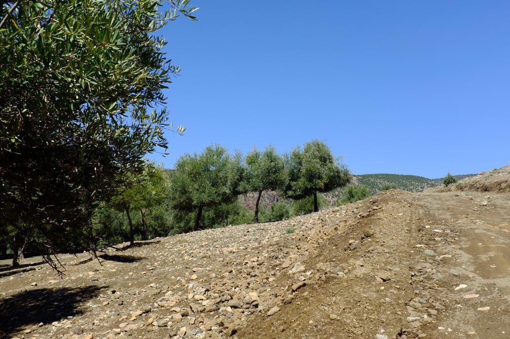 Riad Cascades D'אוזוד מראה חיצוני תמונה