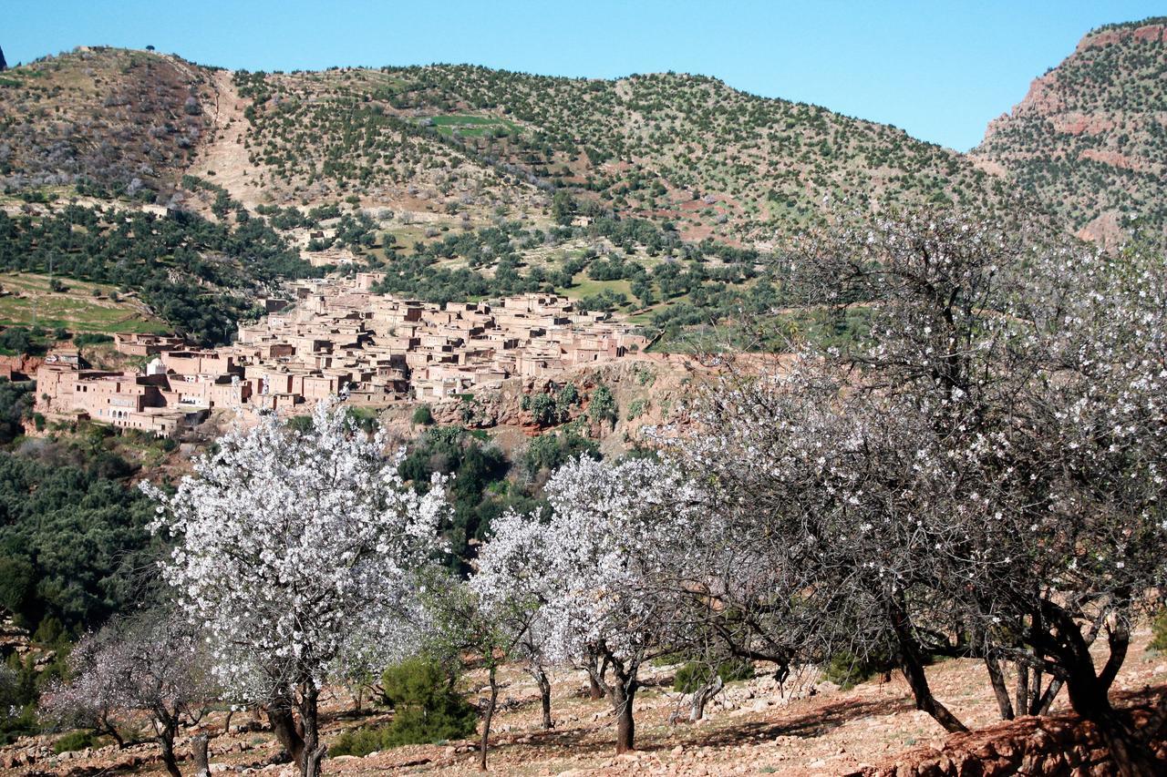Riad Cascades D'אוזוד מראה חיצוני תמונה